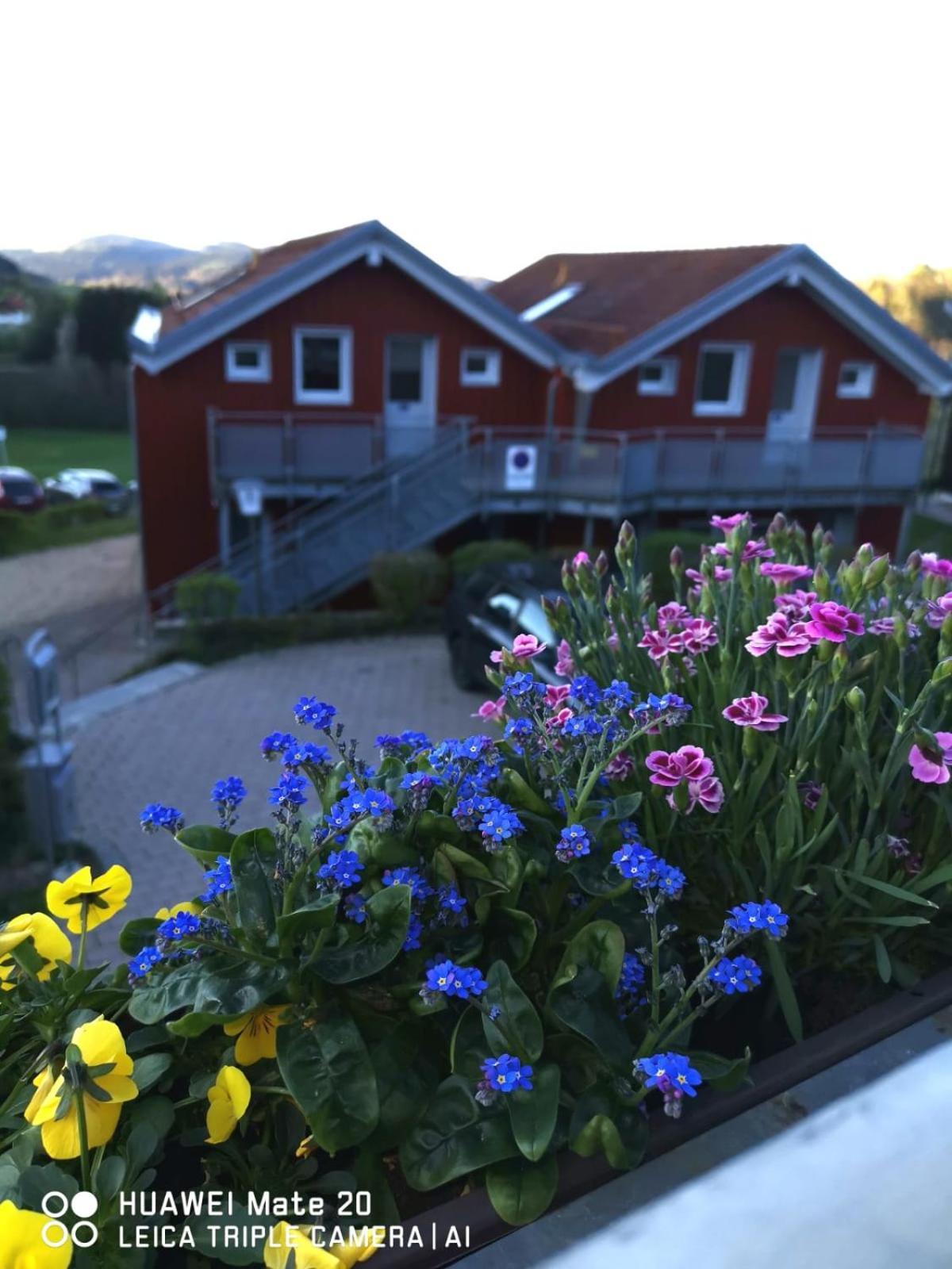 Village Hotel Bayerischer Wald Neukirchen  Exteriör bild