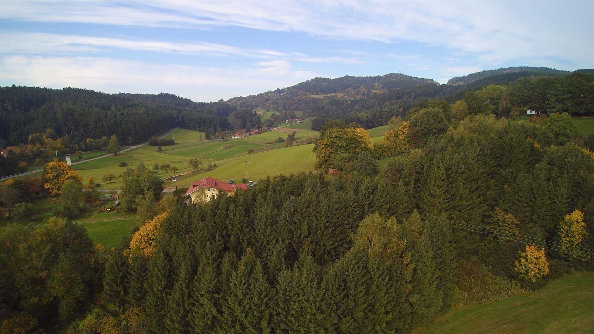Village Hotel Bayerischer Wald Neukirchen  Exteriör bild