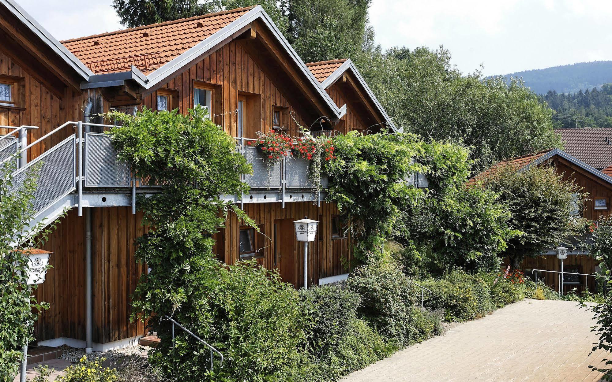 Village Hotel Bayerischer Wald Neukirchen  Exteriör bild
