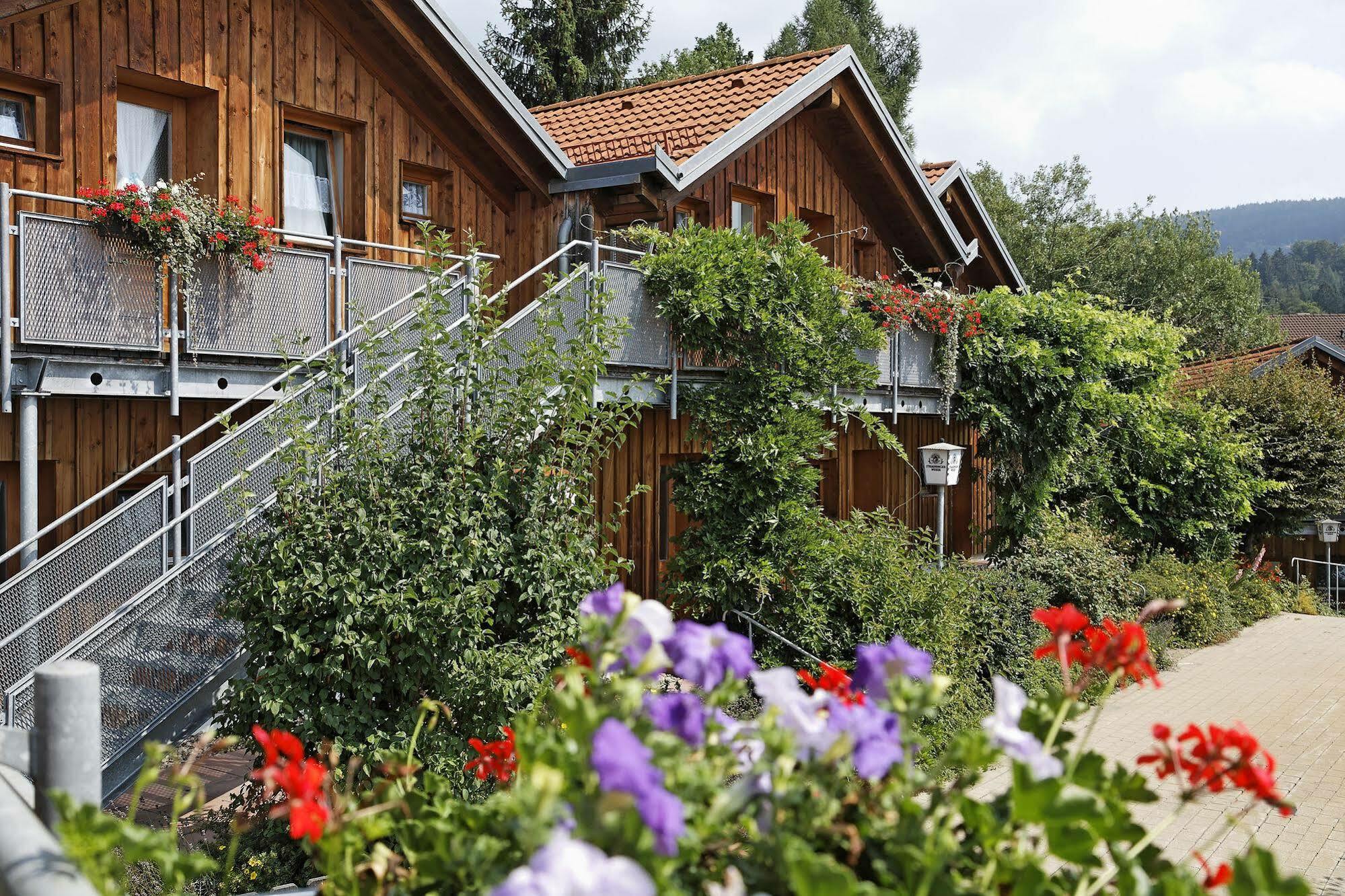 Village Hotel Bayerischer Wald Neukirchen  Exteriör bild